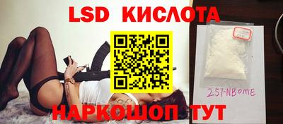 spice Гатчина