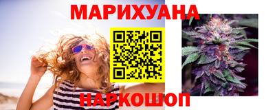 spice Гатчина