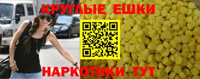 spice Гатчина