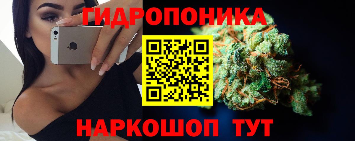 Конопля OG Kush Гуково